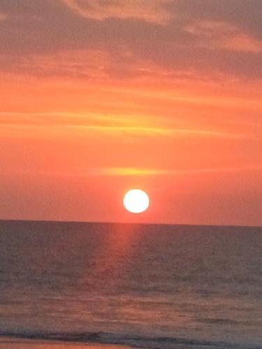 The Cozy Glass House by the Sea