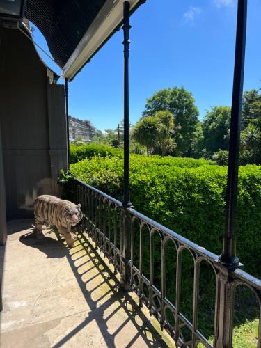 Luxury garden apartment under the Castle, Dover