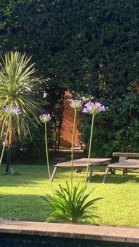 La Demeure Des Alpilles Chambres D'Hôtes
