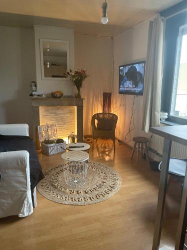 Appartement privatif cozy Euratechnologies
