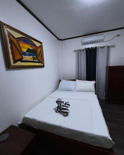 Charlotte's Vacation Home Busuanga Palawan