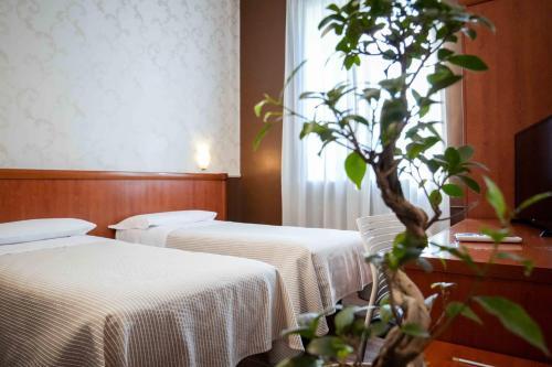 Hotel Universo
