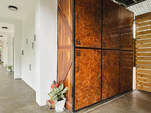 Pig Dive Hostel Moalboal