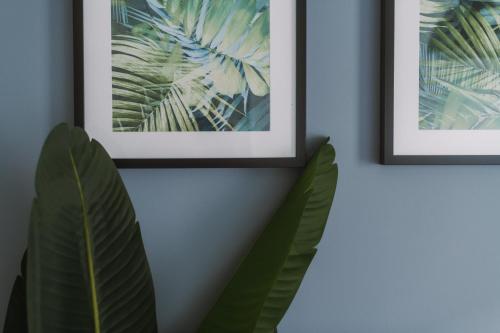 ComfySleep Apartments