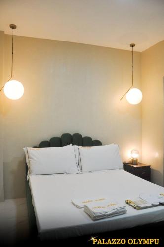 Palazzo Olympu Guest House