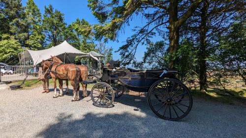 Wheal Tor Hotel - Guest House