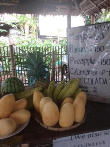 Mary's Homestay Apo island