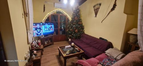 Petro's Antique House