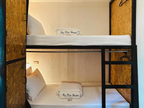 Pig Dive Hostel Moalboal