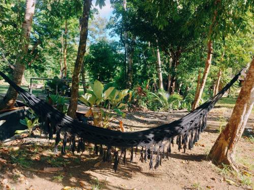 Payapa garden Nagtabon Beach