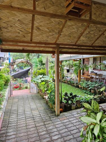 Lokal Home Hostel