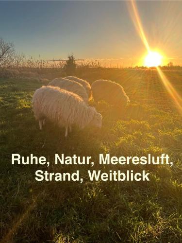 Marijanas Landhaus Am Meer