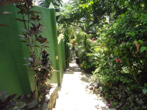 Argonauta Boracay