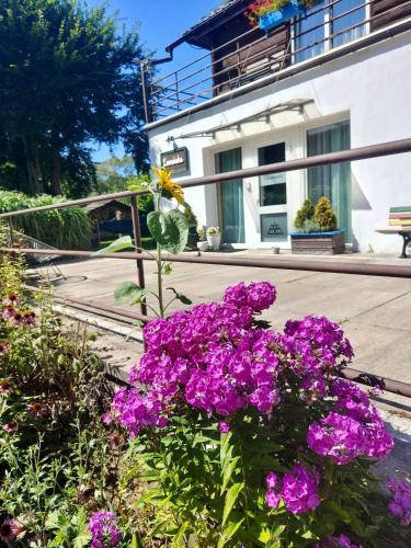 Osada Leonówka Bieszczady