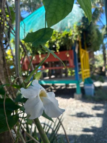 Lotus Sun & Waves Beach Resort