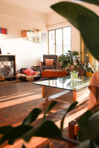 Lima Sol House - Hostel