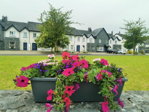 Bunratty Holiday Homes