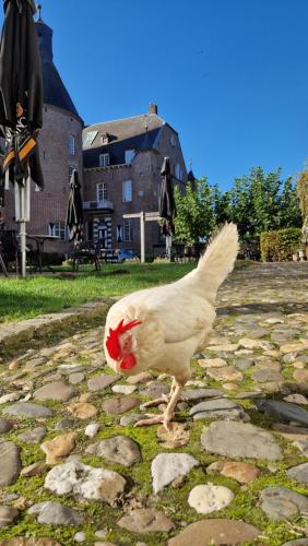 Kasteel Aldenghoor