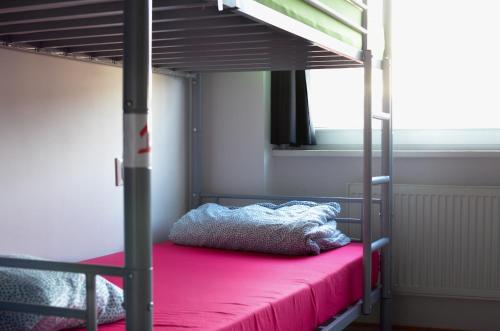 Urban Elephants Hostel