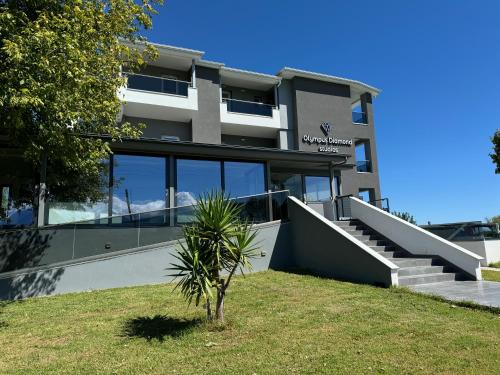 Olympus Diamond studios