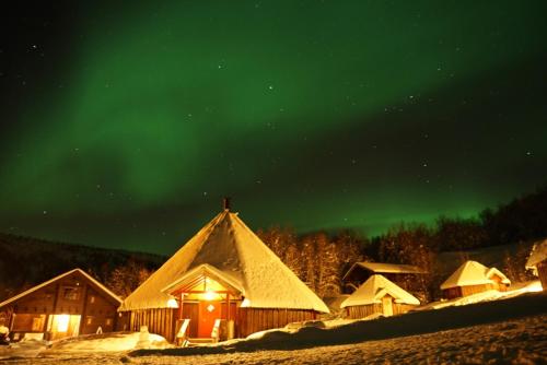 Arctic Cabins