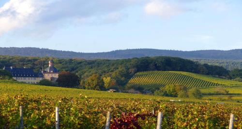 Best Western Hotel Wiesbaden