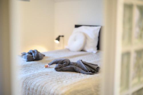 Villa Cecha B&B & Wellness