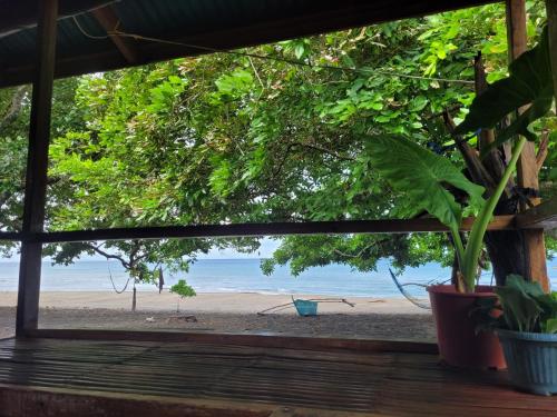 Philipino Heart - beachfront paradise