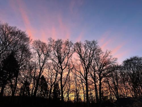 Cozy private annex near bathing lake and 30 min. From Copenhagen