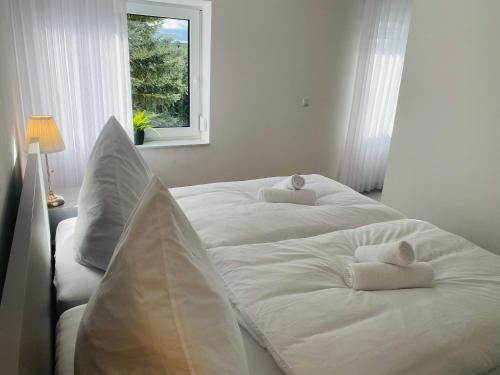 Koblenzer Naturhaus & Apartments