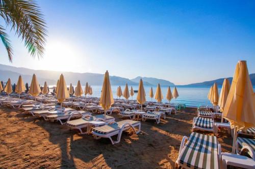 Aurasia Beach Hotel