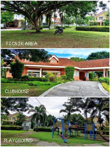 Camella gensan transient