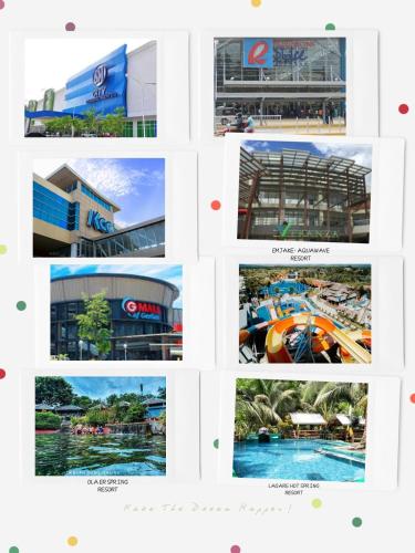 Camella gensan transient