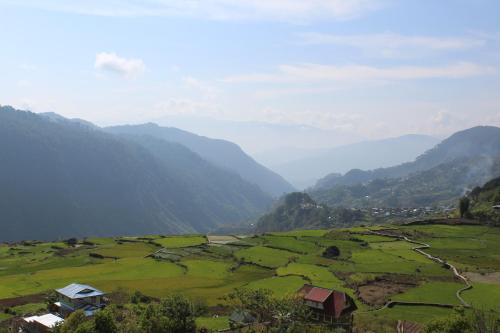 Catlin's Cabin and Cafe