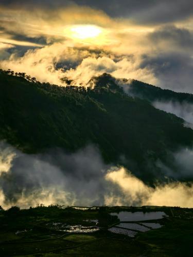 Catlin's Cabin and Cafe
