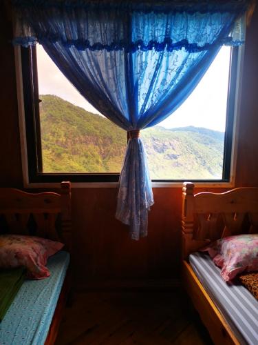 Catlin's Cabin and Cafe