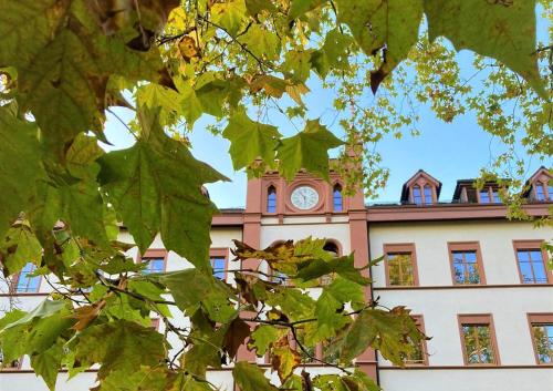 TOP HOTEL ODELYA