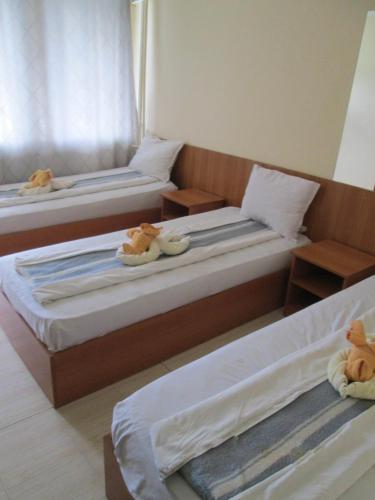 Club Hotel Vedren