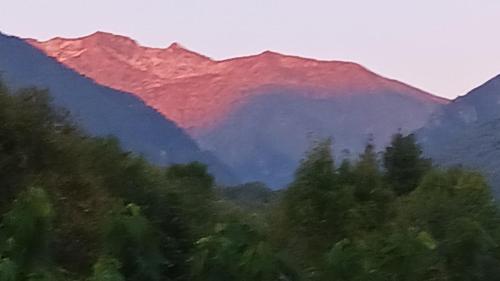 A LA JOIE DE VIVRE Chez l'habitant