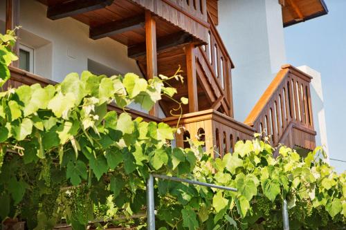 Albergo Diffuso Socchieve Col Gentile
