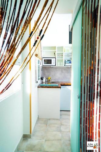 La Casa del Druida II