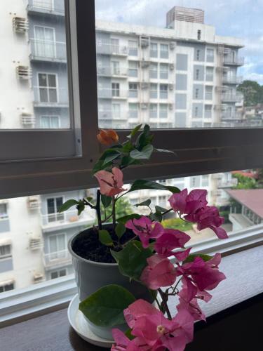 Suite 629 Near IT Park