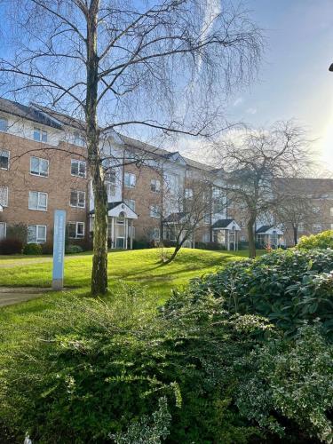 Lancaster University