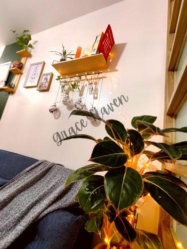 Chill Vibes in Ridgewood near NAIA Terminal 3, BGC and Venice with Lap pool, WIFI and Netflix