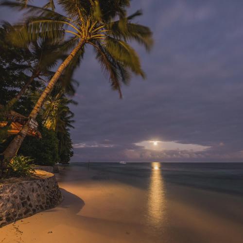 Patrick's on the Beach