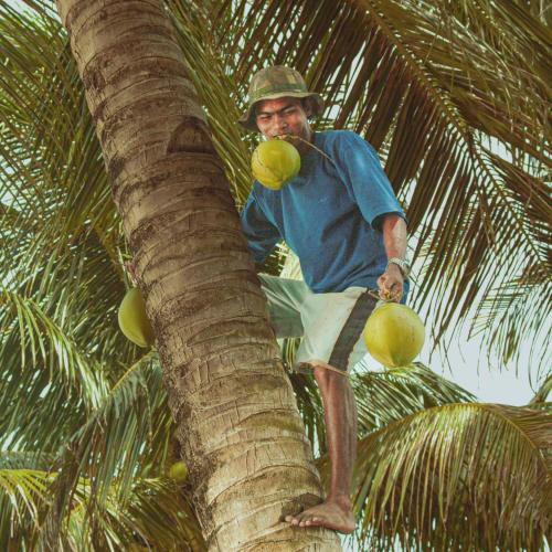 Patrick's on the Beach