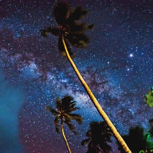 Patrick's on the Beach