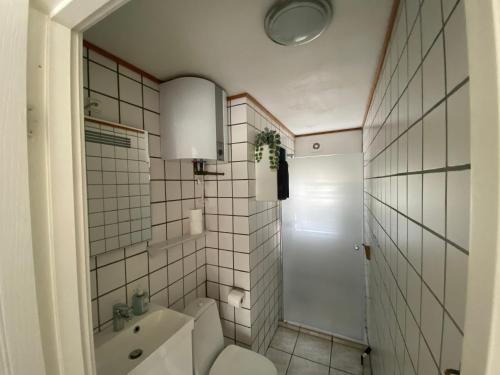 Stutteri Skandi Hest