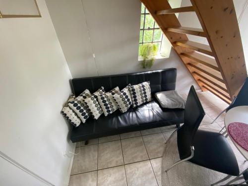 Stutteri Skandi Hest