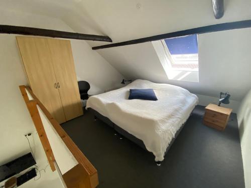 Stutteri Skandi Hest